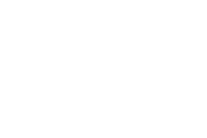 Endorphina logo