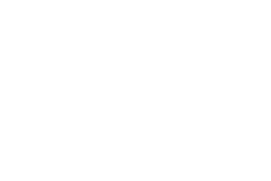 Play’n Go logo