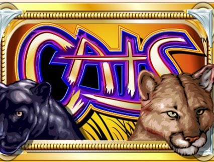 Cats logo