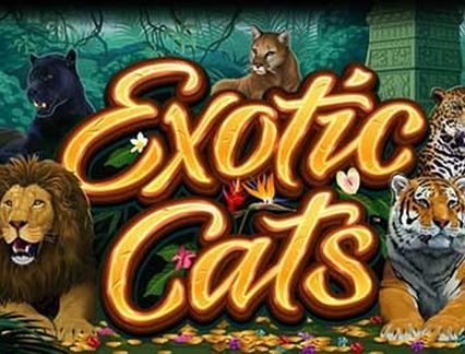 Exotic Cats logo
