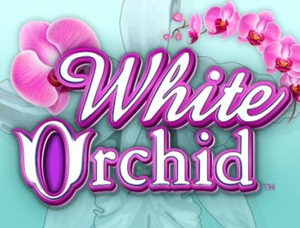 White Orchid logo