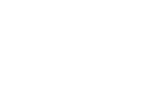 4ThePlayer logo