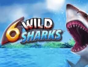 6 Wild Sharks