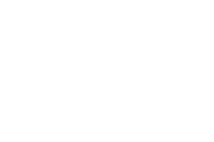 All41 Studios logo