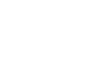 Bally Wulff logo