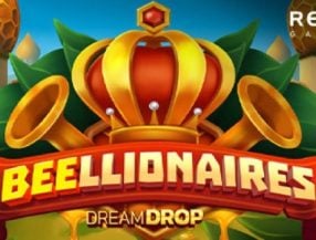 Beellionaires Dream Drop