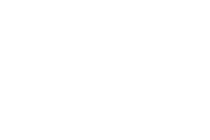 Betixon logo