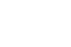 Betsoft logo