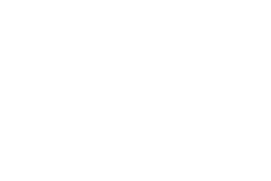 BGaming logo