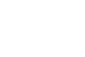 Blueprint Gaming logo