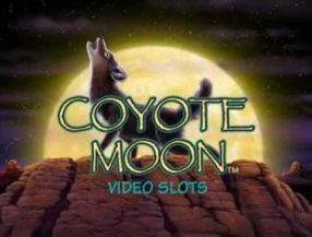 Coyote Moon