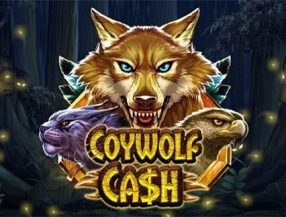 Coywolf Cash