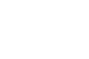 Evolution Gaming logo