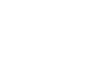 Evoplay logo