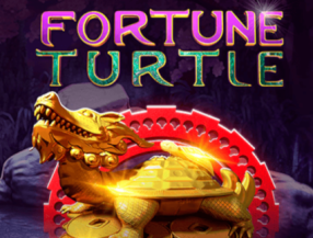 Fortune Turtle