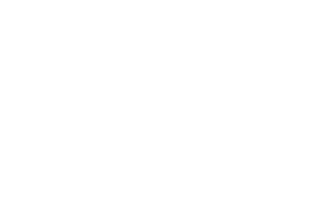 Gamomat logo