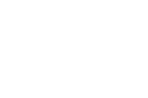 Iron Dog Studio logo