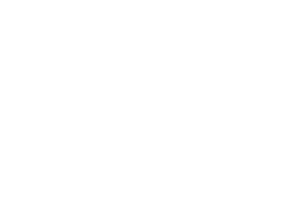 Just For The Win logo