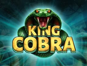 King Cobra