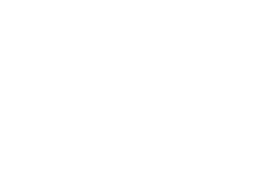 Leap Gaming logo