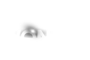 Light & Wonder logo