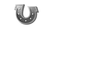 LuckSome logo