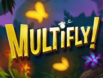 Multifly logo