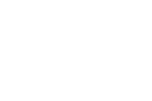 Northern Lights Gaming logo