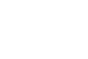 Onlyplay logo