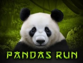 Panda's Run