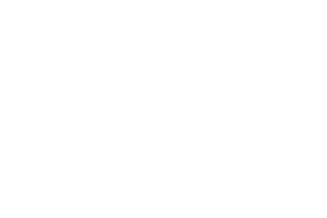 PearFiction Studios logo