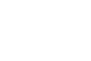 Peter and Sons logo