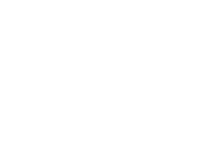 Playson logo