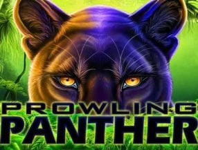 Prowling Panther