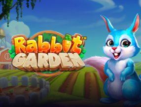 Rabbit Garden