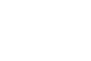 Rabcat logo