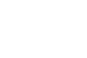 Rarestone Gaming logo