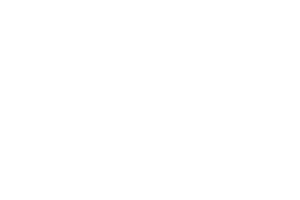 Red Rake logo