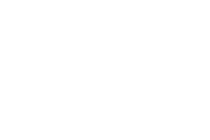 Red Tiger logo