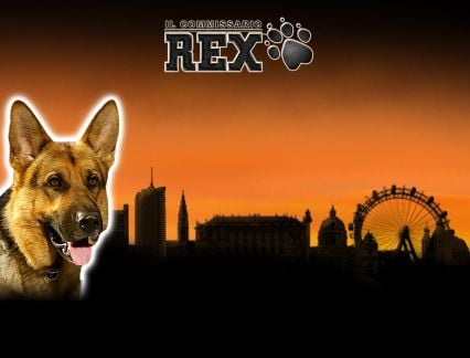 Rex logo