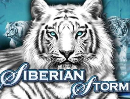 Siberian Storm logo