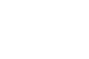 Skywind Group logo