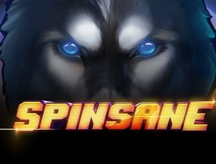 Spinsane logo