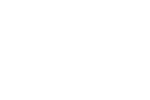 StakeLogic logo