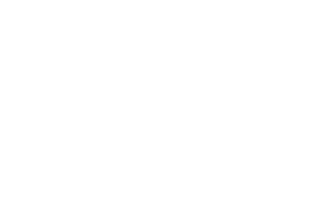 StakeLogic logo