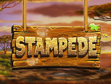 Stampede logo