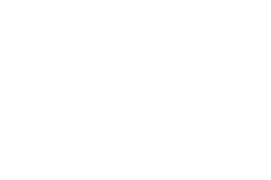 Swintt logo