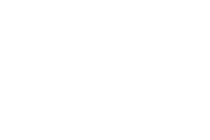 SYNOT logo