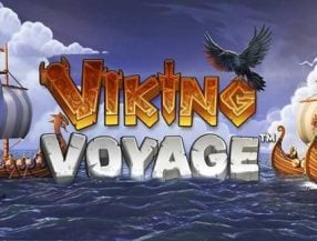 Viking Voyage