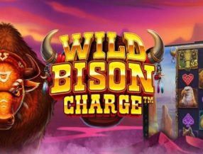 Wild Bison Charge